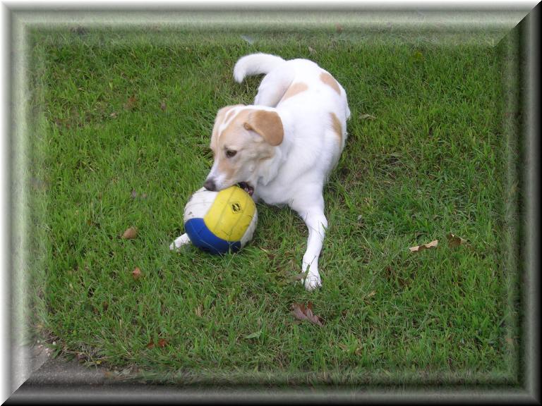 Skittles_ Socker_Ball_1